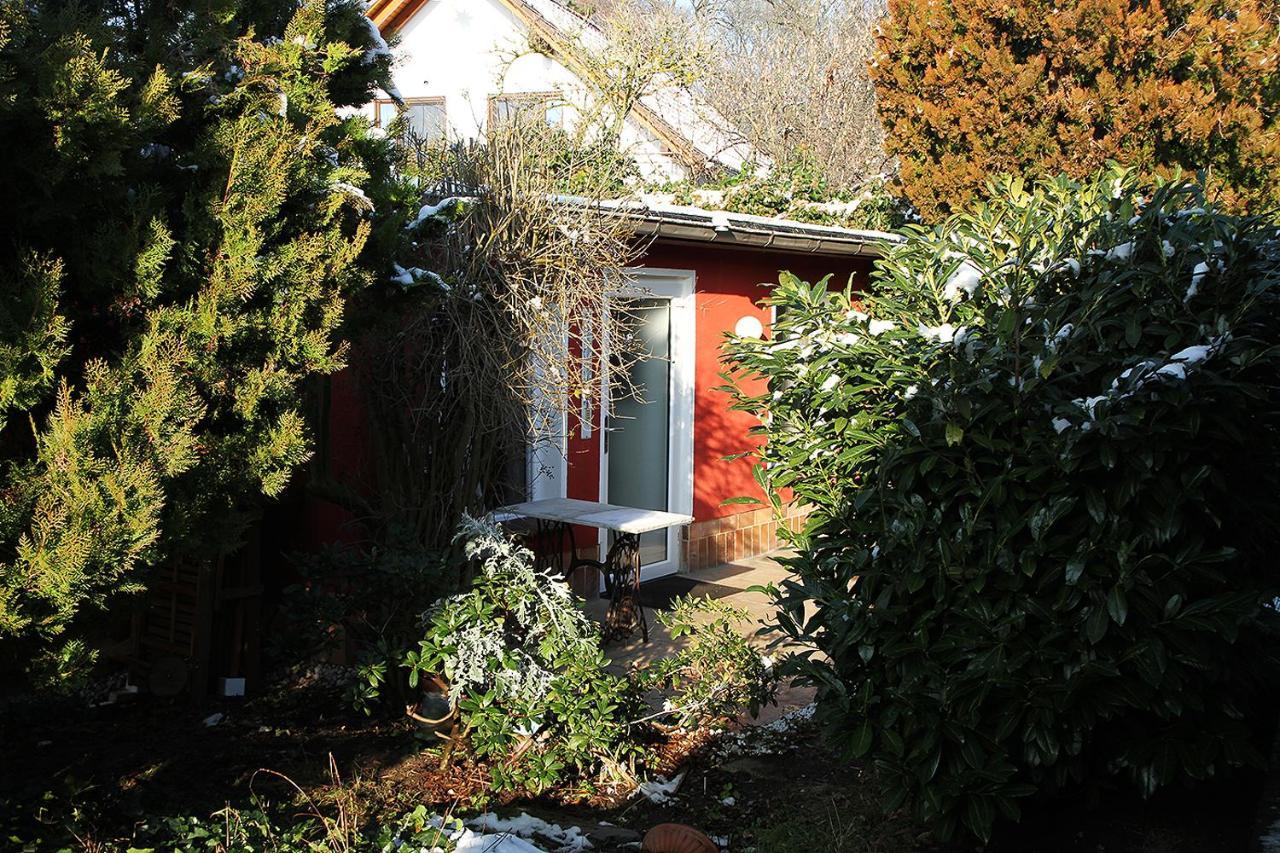 Haus Mit Kunst Zwischen Wald Und See Leipzig Exterior foto